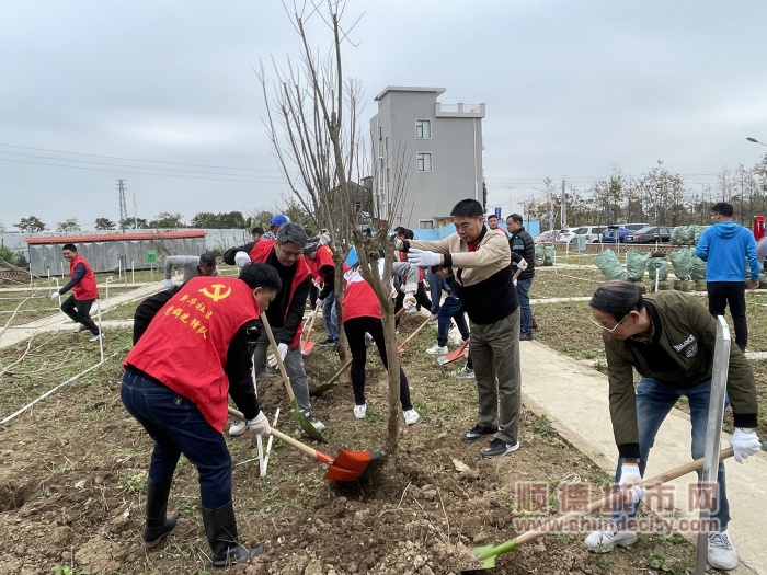 新华社区“振兴林”植树现场。 (2)_副本.jpg