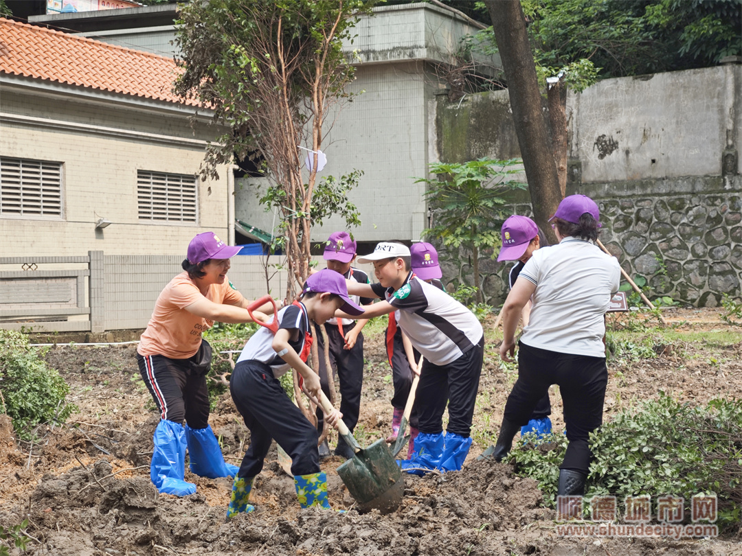 均安镇8所中小学校开展了“绿美校园”活动，通过植树对学生进行潜移默化的生态环保知识熏陶。（摄影：刘远雄）_副本.jpg