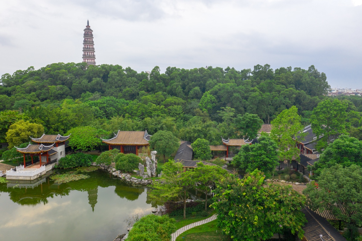 9.汀芷寻芳（来源：顺德中心城区城市管理有限公司）_副本.jpg