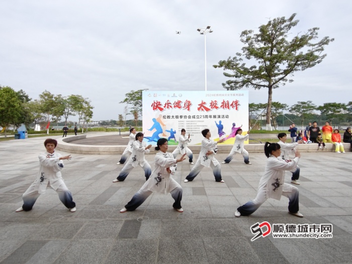 《陈式综合太极拳》.jpg