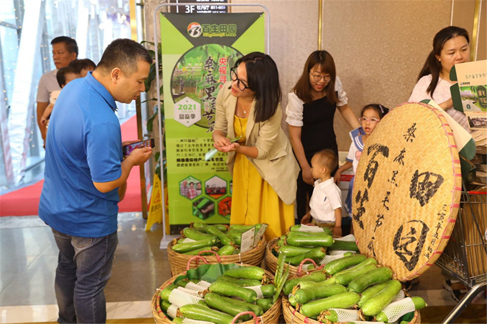 右眼新闻：黑毛节瓜背后的不舍与坚守