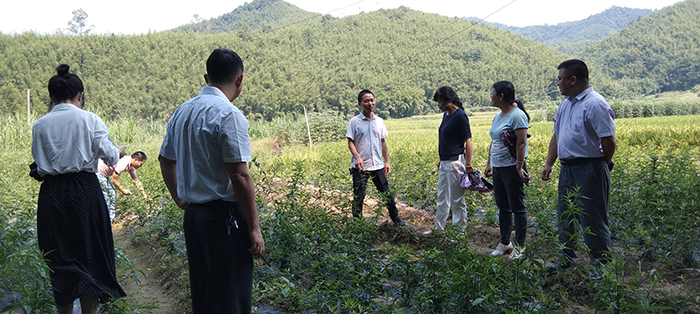 科技力量赋能乡村振兴，获专家肯定