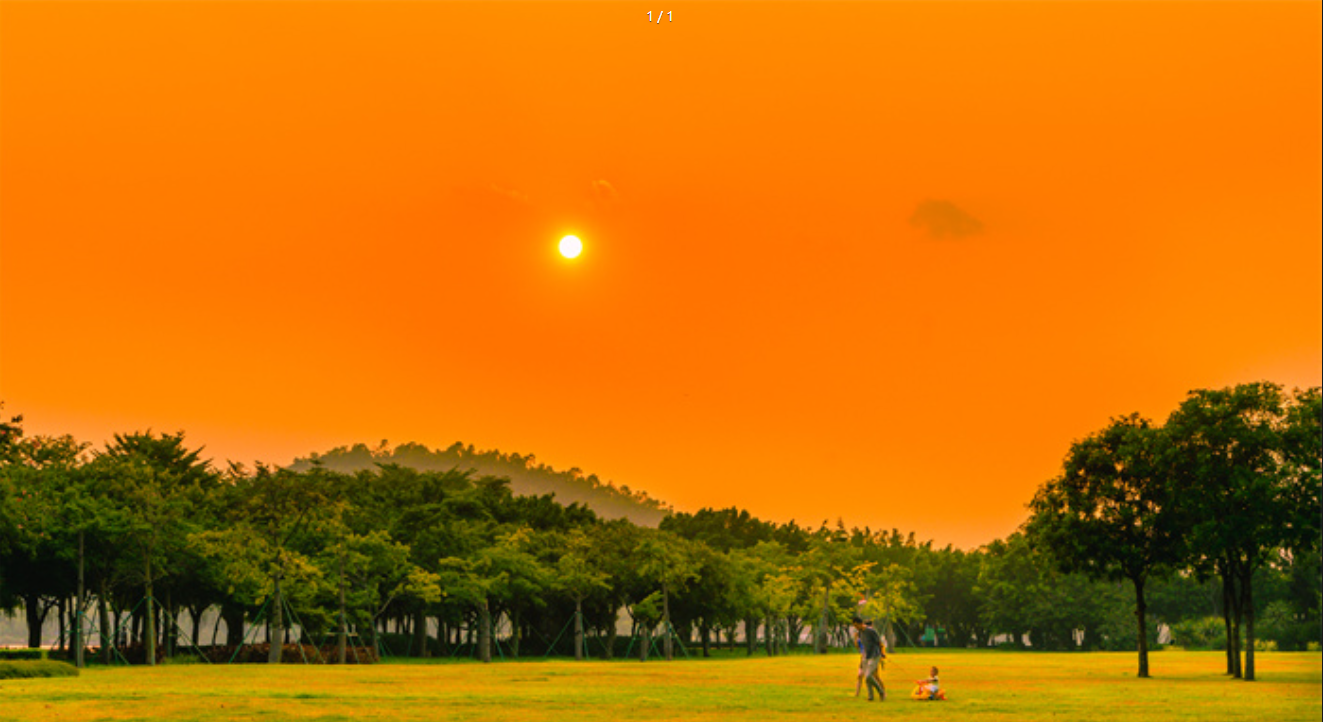 那风、那落叶、那夕阳……便是喜欢顺德秋天的原因