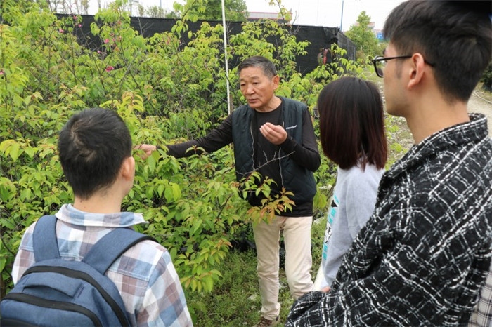 两岸青年携手！佛山台企助力两岸农业文化融合发展