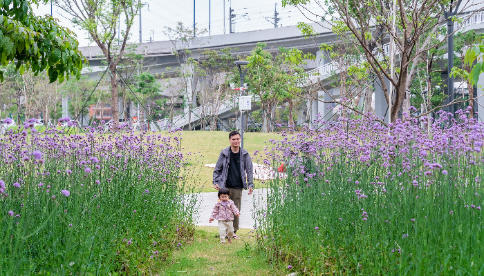 让城市处处有公园，陈村更加“俏丽”了