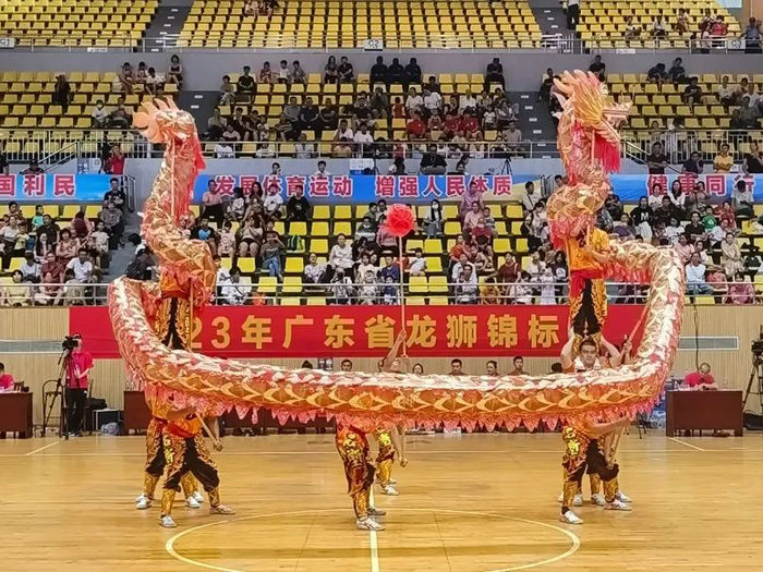 飒！龙江“非遗”龙舞夺得省龙狮锦标赛一等奖