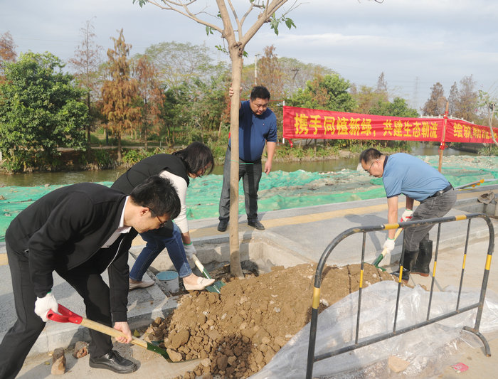 奋进百千万，勒流党群携手同植新绿，共建绿美乡村