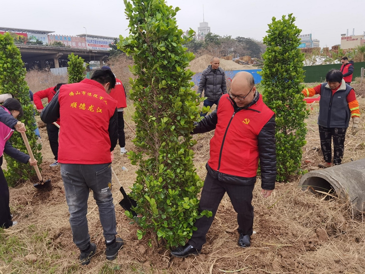 “植”此青绿，龙江退役军人不负春光