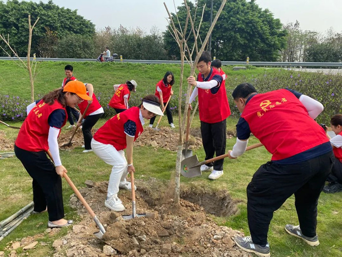 种下2.18万株树，勒流掀起植绿护绿热潮