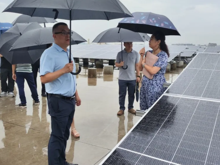 龙江：低碳小镇持续探索，市大湾区办来考察