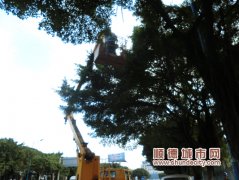 容桂：每遇雷雨天气，路灯损坏就多了