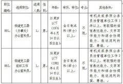 容桂街道招聘两名选调公务员