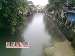 容桂：大雨冲不走河涌的黑和臭