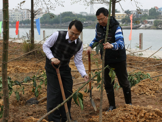 2250棵新树苗植根均安 给力绿色家园建设