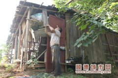 容桂：解砖卸瓦 农民自拆违法搭建窝棚