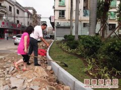 人大代表质疑“绿化” 主任“说声抱歉”