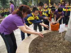 青云小学：撒播一颗种子，种下环保思想