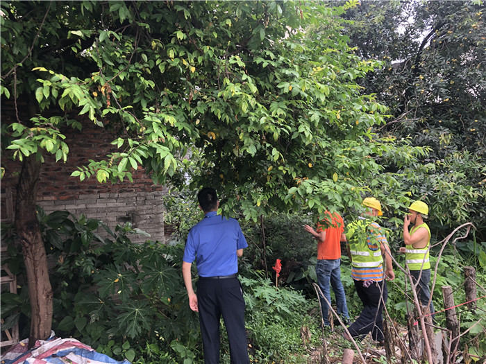 伦教：拆除河道违建，助力提速桂畔海水系综合整治工程